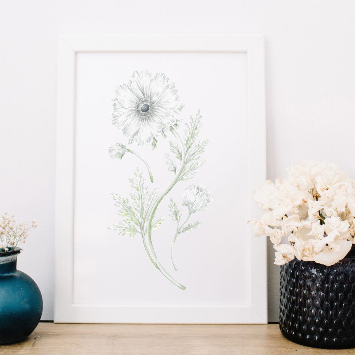 White Anemone Flower Print