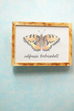 Load image into Gallery viewer, California Tortoiseshell Butterfly
