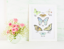 Load image into Gallery viewer, Butterfly Collection Art Print 13x19&quot;
