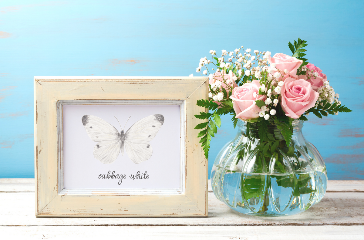 Cabbage White Butterfly Art Print