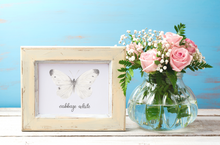 Load image into Gallery viewer, Cabbage White Butterfly Art Print
