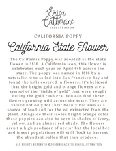 Load image into Gallery viewer, California State Flower Map Vinyl Sticker
