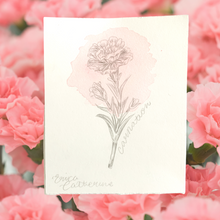 Load image into Gallery viewer, January Birth Flower - Carnation Mini Original Drawing
