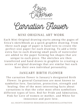 Load image into Gallery viewer, January Birth Flower - Carnation Mini Original Drawing
