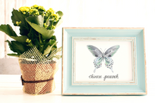 Load image into Gallery viewer, Chinese Peacock Butterfly Art Print
