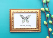 Load image into Gallery viewer, Chinese Peacock Butterfly Art Print
