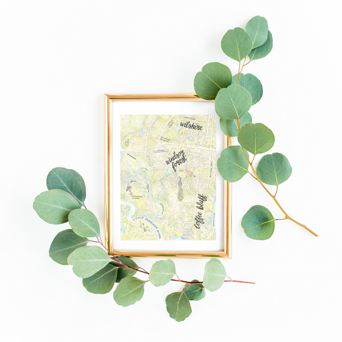 Windsor Forest and Coffee Bluff of Savannah Map
