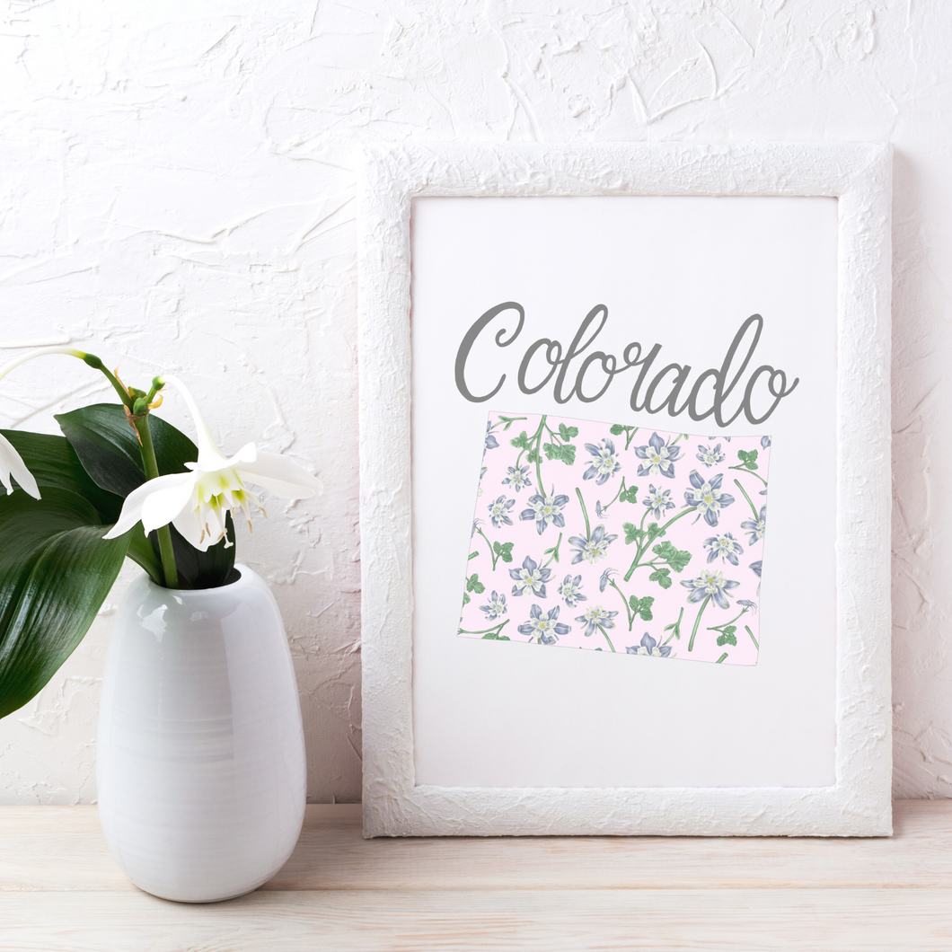 Colorado State Map Art Print
