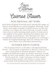 Load image into Gallery viewer, October Birth Flower - Cosmos Mini Original Drawing
