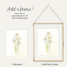 Load image into Gallery viewer, April Birth Flower - Daisy Mini Original Artwork
