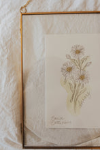 Load image into Gallery viewer, April Birth Flower - Daisy Mini Original Artwork
