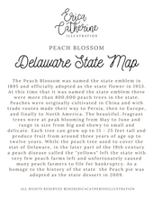 Load image into Gallery viewer, Delaware State Map Art Print
