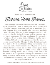 Load image into Gallery viewer, Florida State Flower Map Vinyl Sticker
