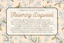 Load image into Gallery viewer, Flowering Dogwood Scarf
