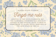 Load image into Gallery viewer, Forget Me Nots Scarf
