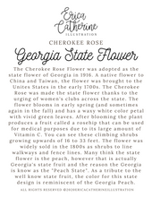 Load image into Gallery viewer, Georgia State Flower Map Vinyl Sticker
