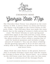 Load image into Gallery viewer, Georgia State Map Art Print
