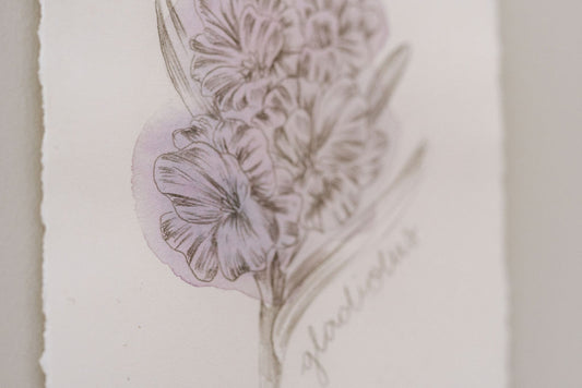 August Birth Flower - Gladiolus Mini Original Artwork