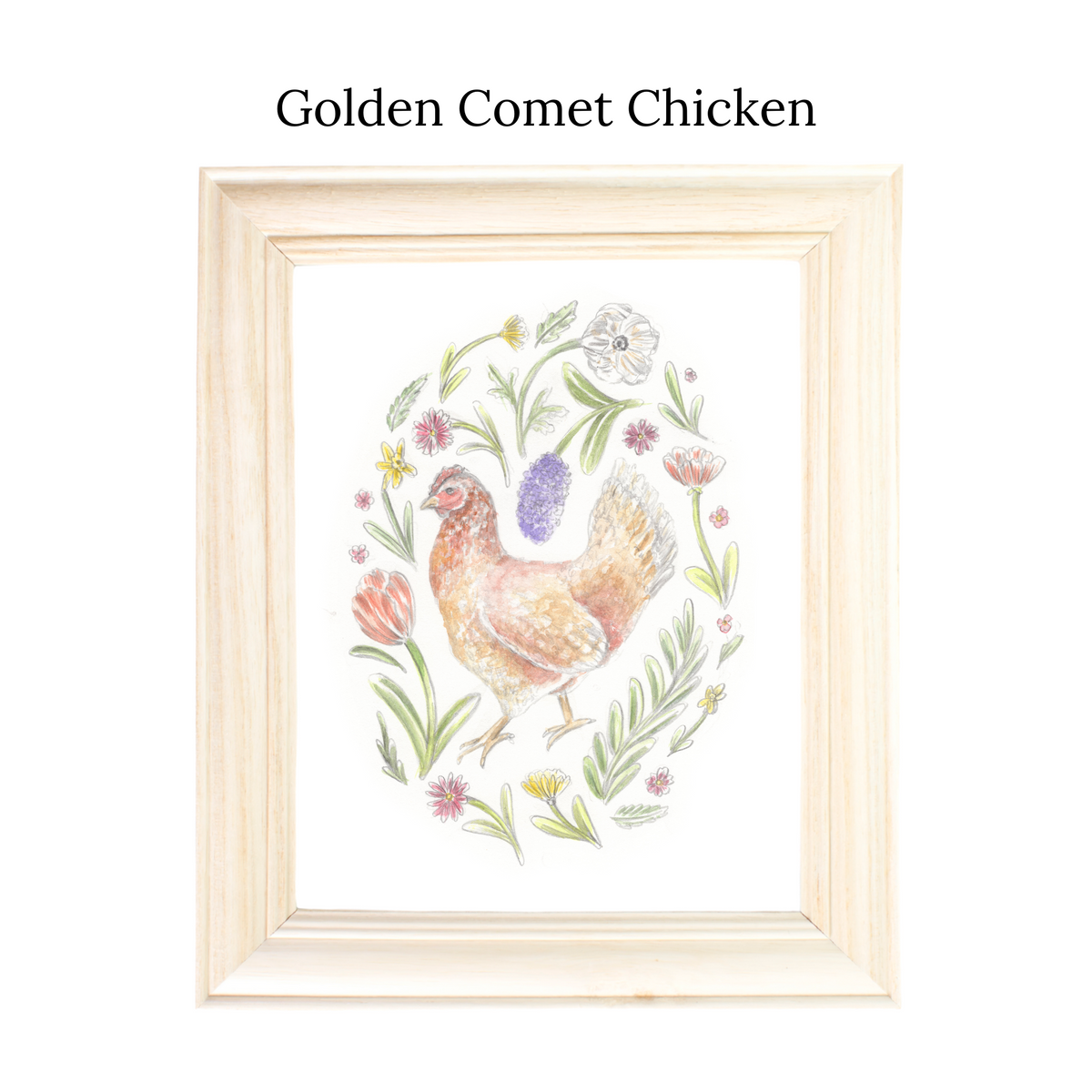 Backyard Chickens Print Series