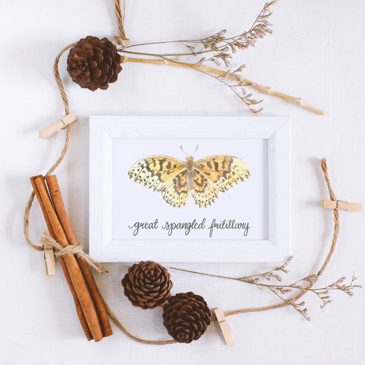 Great Spangled Fritillary Butterfly Art Print