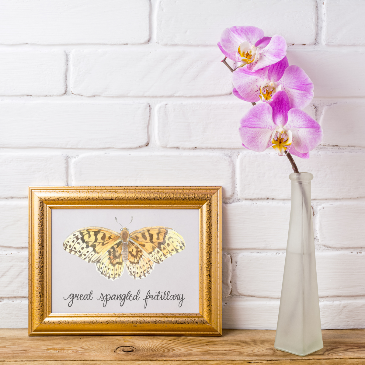 Great Spangled Fritillary Butterfly Art Print