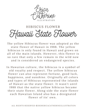 Load image into Gallery viewer, Hawaii State Flower Map Vinyl Sticker

