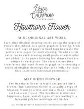 Load image into Gallery viewer, May Birth Flower - Hawthorn Mini Original Drawing
