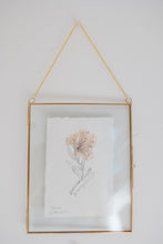 Load image into Gallery viewer, June Birth Flower - Honeysuckle Mini Original Drawing
