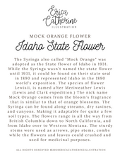 Load image into Gallery viewer, Idaho State Flower Map Vinyl Sticker
