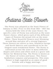 Load image into Gallery viewer, Indiana State Flower Map Vinyl Sticker
