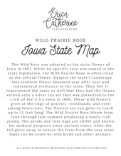 Load image into Gallery viewer, Iowa State Map Art Print
