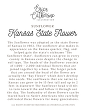Load image into Gallery viewer, Kansas State Flower Map Vinyl Sticker
