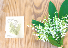 Load image into Gallery viewer, May Birth Flower - Lily of the Valley Mini Original Artwork

