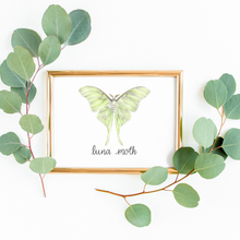 Load image into Gallery viewer, Luna Moth Art print
