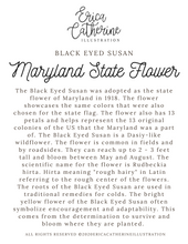 Load image into Gallery viewer, Maryland State Flower Map Vinyl Sticker
