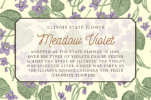 Load image into Gallery viewer, Meadow Violet Flower Scarf
