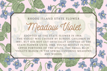 Load image into Gallery viewer, Meadow Violet Flower Scarf
