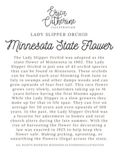 Load image into Gallery viewer, Minnesota State Flower Map Vinyl Sticker

