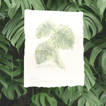 Load image into Gallery viewer, Monstera Plant Mini Original Art
