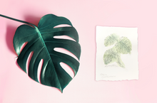 Load image into Gallery viewer, Monstera Plant Mini Original Art
