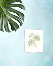 Load image into Gallery viewer, Monstera Plant Mini Original Art
