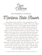 Load image into Gallery viewer, Montana State Flower Map Vinyl Sticker
