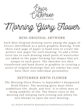 Load image into Gallery viewer, September Birth Flower - Morning Glory Mini Original Drawing
