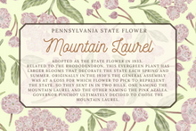 Load image into Gallery viewer, Mountain Laurel Scarf
