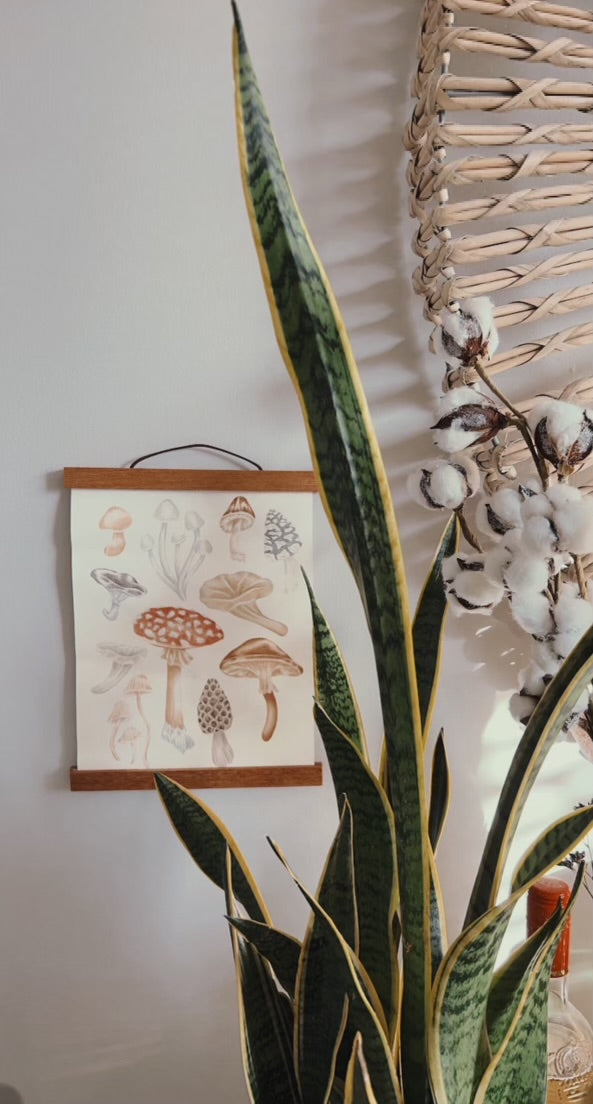 Mushroom Chart Canvas Hanging