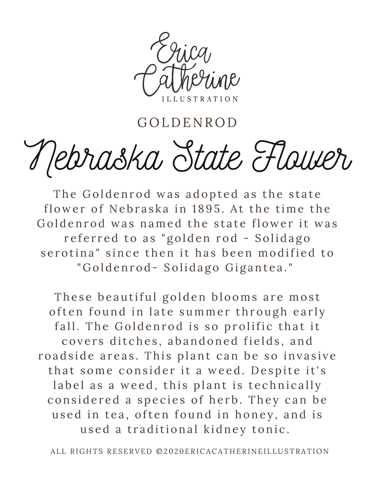 Nebraska State Flower Map Vinyl Sticker