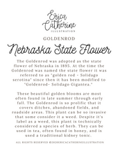Load image into Gallery viewer, Nebraska State Flower Map Vinyl Sticker
