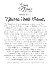 Load image into Gallery viewer, Nevada State Flower Map Vinyl Sticker
