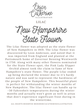 Load image into Gallery viewer, New Hampshire State Flower Map Vinyl Sticker
