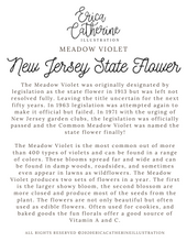 Load image into Gallery viewer, New Jersey State Flower Map Vinyl Sticker

